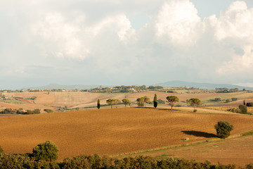 Fototapeta premium Tuscany hill view