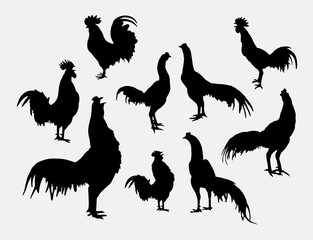 Rooster and cock pose silhouettes