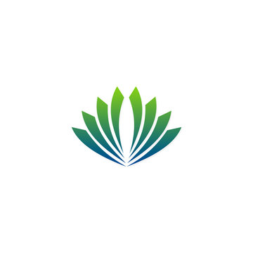 green lotus flower beauty abstract vector logo