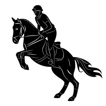 horse rider, vector illustration