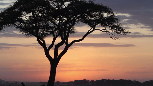 Time lapse Sunset in Amboseli Park, Kenya

