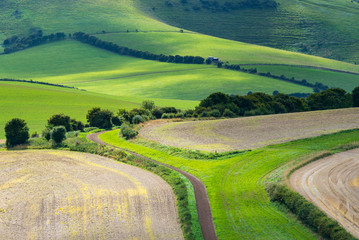 Views across the South Downs © simonprbenson