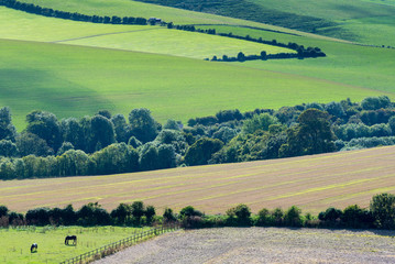Across the South Downs © simonprbenson