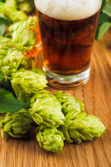 Fresh  green hops with beer on wooden table