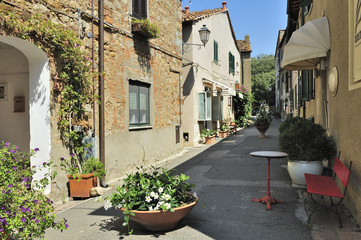 Fototapeta na wymiar Toscana Bolgheri 