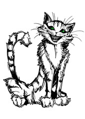 evil cat