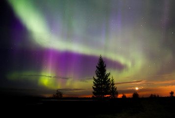 Northern lights (Aurora Borealis)