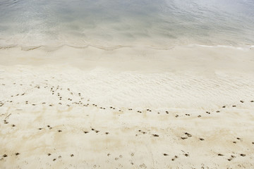 Footprints in the sand on the beach