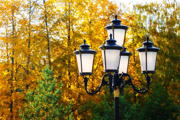 Autumn sun lights © vladimircaribb