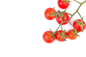 Sprig of cherry tomatoes
