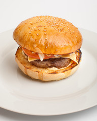 Hamburger with tomato and cheese