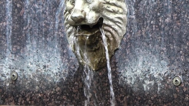Fountain lions.