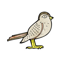 cartoon garden bird