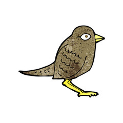 cartoon garden bird