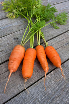 some fresh carrots on the wooden table