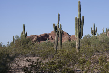 Papago Park, Phoenix, Arizona 2015-09-12