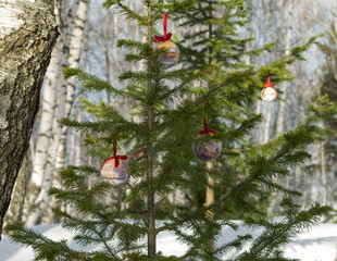 Some christmas balls on the fir-trees. Sharp foreground.