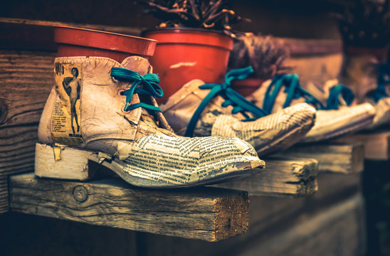 The shoe