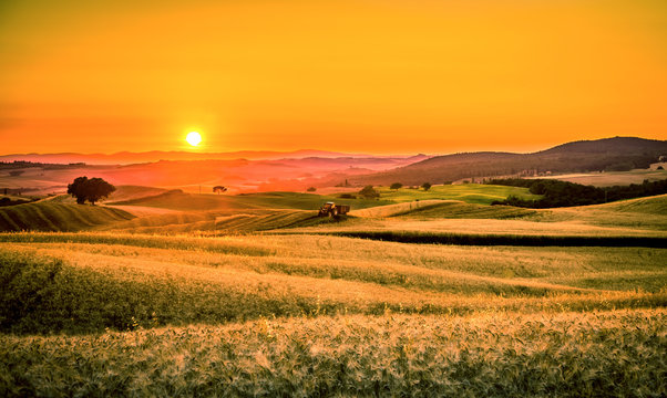 Fototapeta Golden tuscan sunset