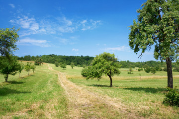 Bliesgau Saarland – Natur Landschaft Wanderweg Biosphärenregion 