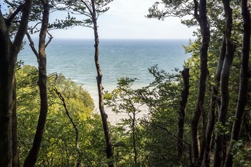 Obraz premium Dänemark, Mönsklint