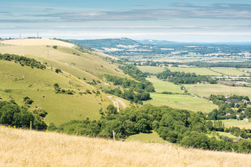 Obraz premium View of the South Downs: fields and the houses