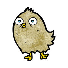 funny cartoon bird