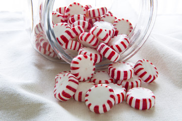 Sweet Peppermint Candy in Spilling out of a Jar