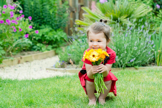 Toddler girl holding bright orange flowers in the garden
