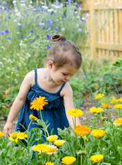A little girl in a denim sun dress sniffing flowers in the garden