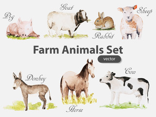 Farm animals - 91219222