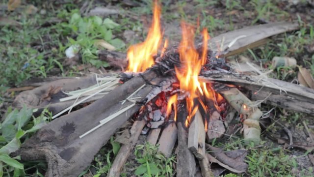 Bonfire of the branches burns on grass, at sunny summer day.