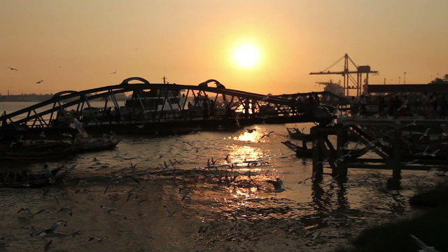 Yangon port at sunset is full with seagulls
