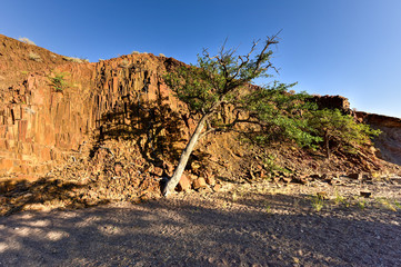 Organ Pipes - Twyfelfontein, Damaraland, Namibia