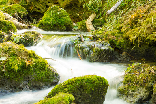 Small forest stream waterfalls