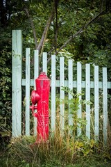 Hydrant vor Holzzaun