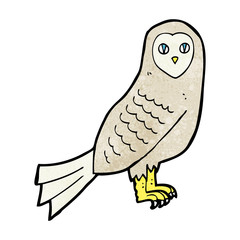 cartoon owl