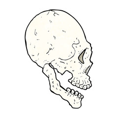 skull illustration