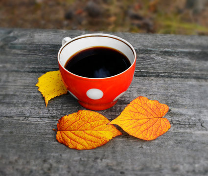Cup of coffee in the fall