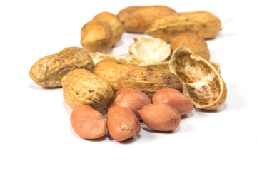 peanut isolated on white background
