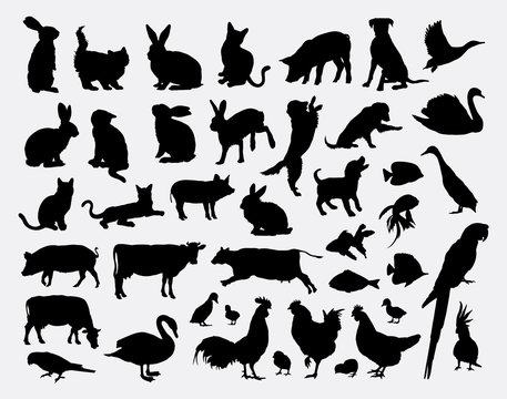 Pet animal silhouettes