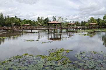 Fototapeta premium Taman Rekreasi Tasik Melati, Perlis, Malaysia - Tasik Melati is a wetland famous for its lakes and its recreational facilities