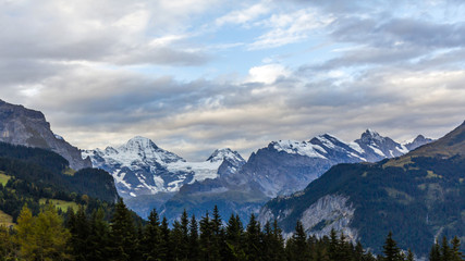 Fototapeta na wymiar Early morning view of Swiss Alps from Wengen