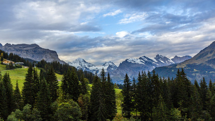 Early morning view of Swiss Alps from Wengen