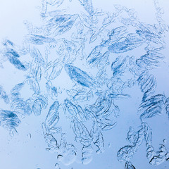 Ice crystals on a window 
