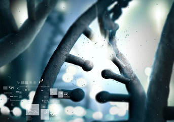 Dna molecule