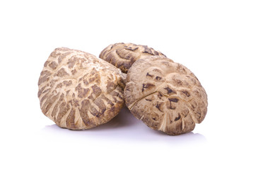 Shiitake mushroom on the White background