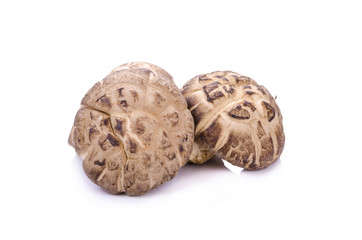 Shiitake mushroom on the White background