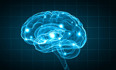 Human brain - Powered by Adobe
