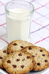 snack: glass of milk and chocolate chip cookies on grey background